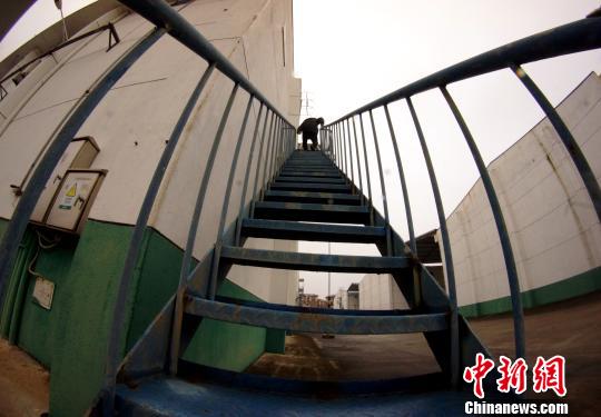 中央儲備糧江西泰和直屬庫有限公司保管員在倉庫巡查?！⊥蹶魂?攝